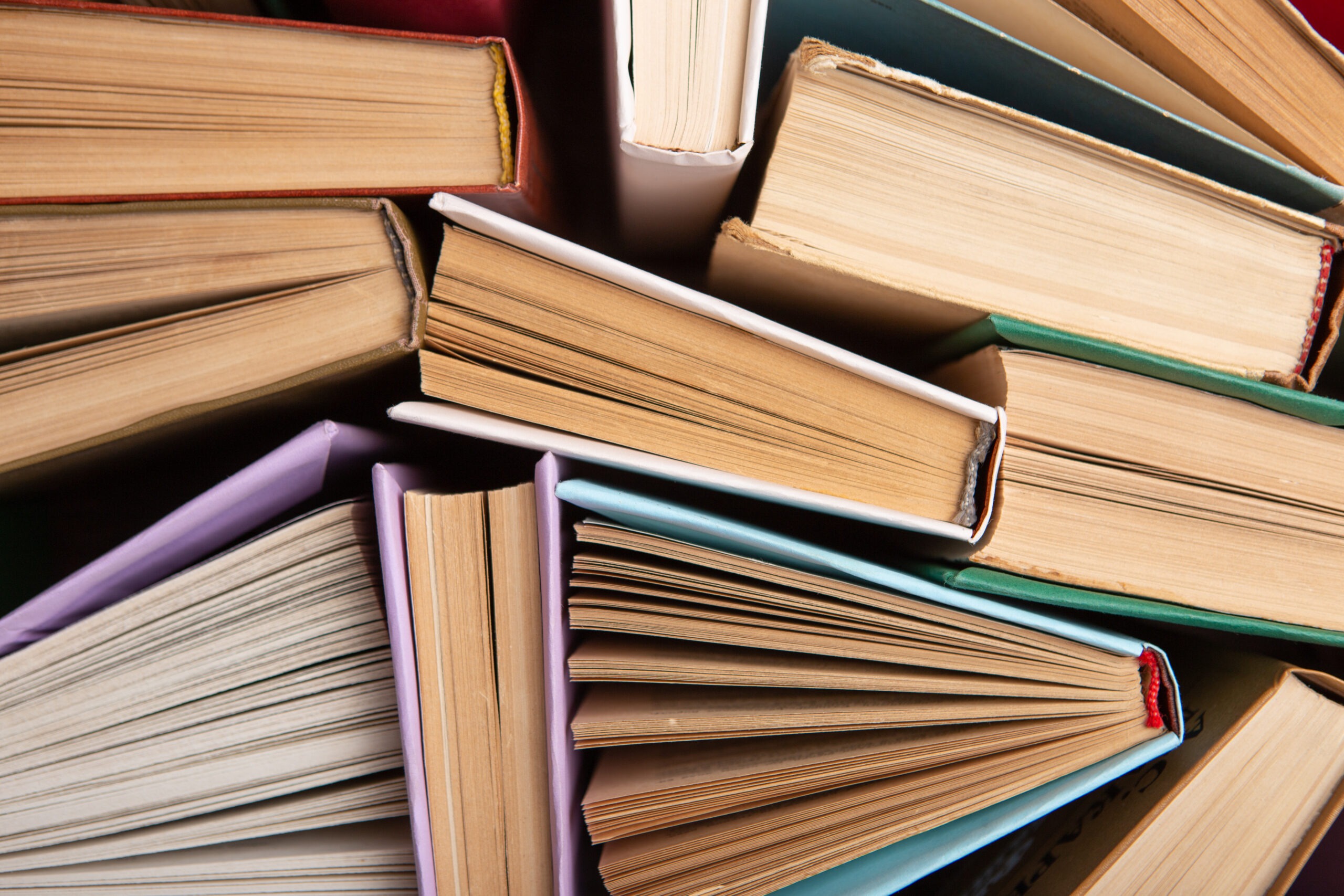 Knihovna: Vánoční knižní trhy